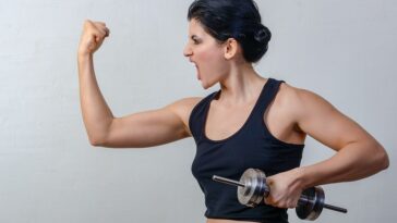 fitness gym programs muscle gain