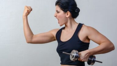 fitness gym programs muscle gain