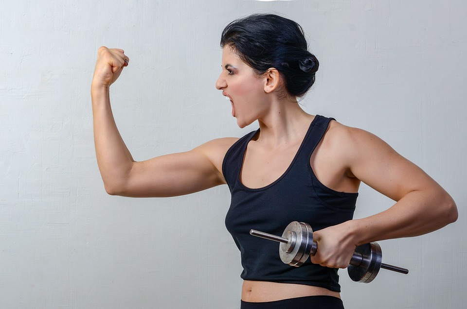 fitness gym programs muscle gain