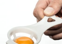 supplements protein