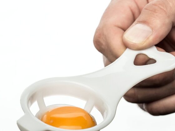 supplements protein