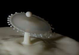 supplements protein