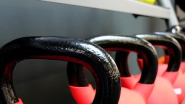 fitness gym programs