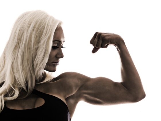 fitness gym programs muscle gain