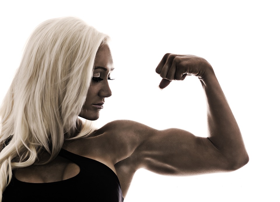 fitness gym programs muscle gain