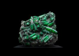 Minerals to build muscle