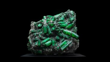 Minerals to build muscle