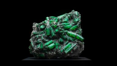 Minerals to build muscle