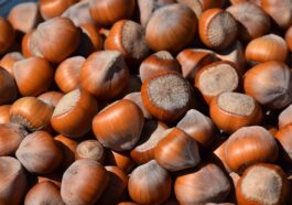 Nutrients Food for build muscle