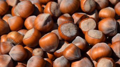 Nutrients Food for build muscle