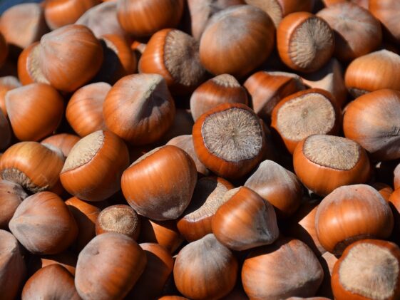 Nutrients Food for build muscle