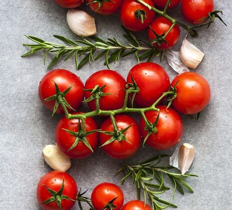 What is the largest amount of nutrients to build muscle from human body