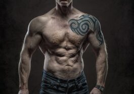 fitness gym programs muscle gain