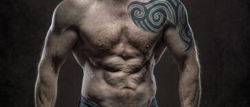 fitness gym programs muscle gain