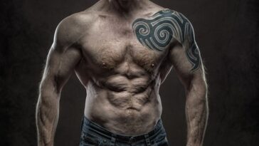 fitness gym programs muscle gain