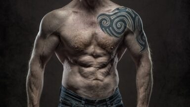 fitness gym programs muscle gain