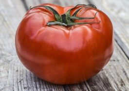 Supplements Vitamins