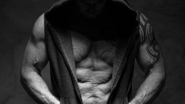 fitness gym programs muscle gain