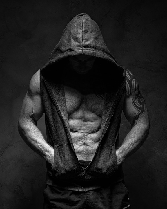 fitness gym programs muscle gain