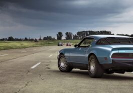 Supplements Muscle gain