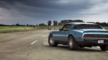 Supplements Muscle gain