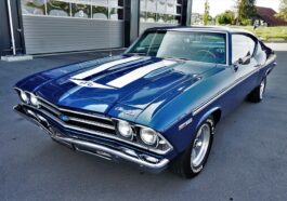 Supplements Muscle gain