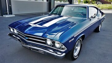 Supplements Muscle gain