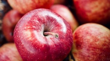 What is the largest amount of nutrients from category amino in percentages found in the human body