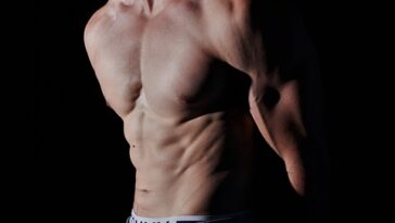 fitness supplements muscle