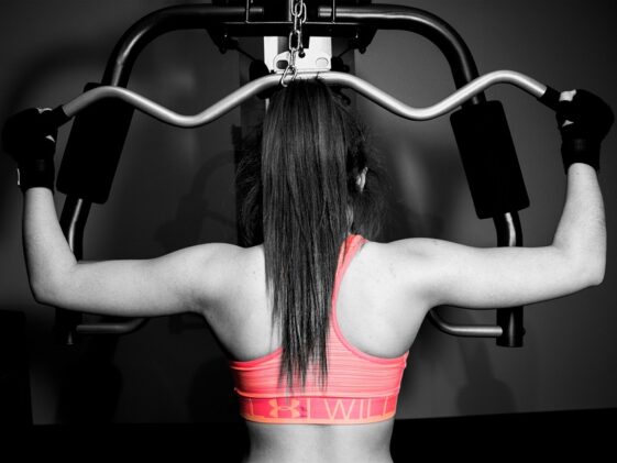 fitness gym strength training