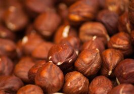 fitness supplements protein