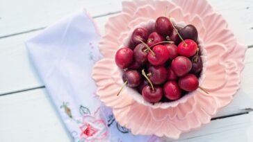 What is the largest amount of nutrients to build muscle from human body