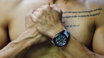 fitness gym programs muscle gain