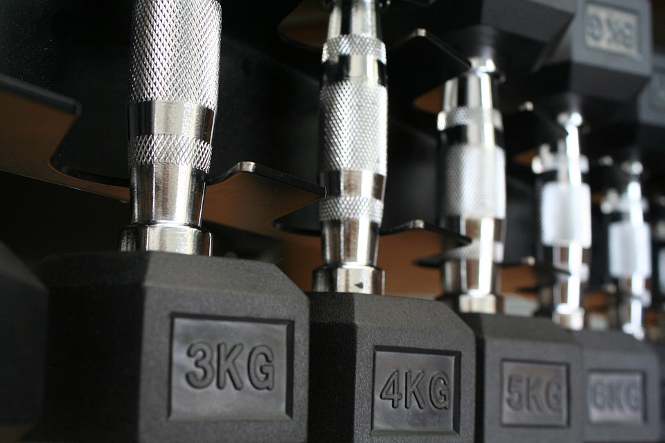 fitness gym strength training