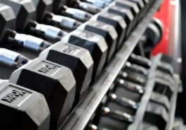 fitness gym programs