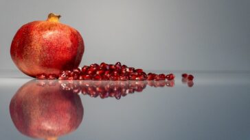 Nutrients Food for build muscle