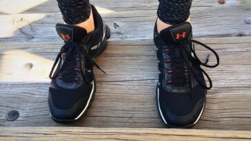 What is the largest amount of nutrients to build muscle from human body