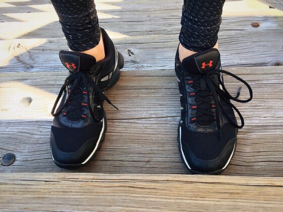 What is the largest amount of nutrients to build muscle from human body