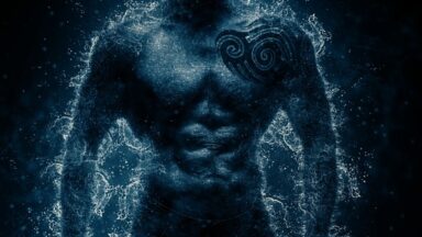 fitness gym strength training