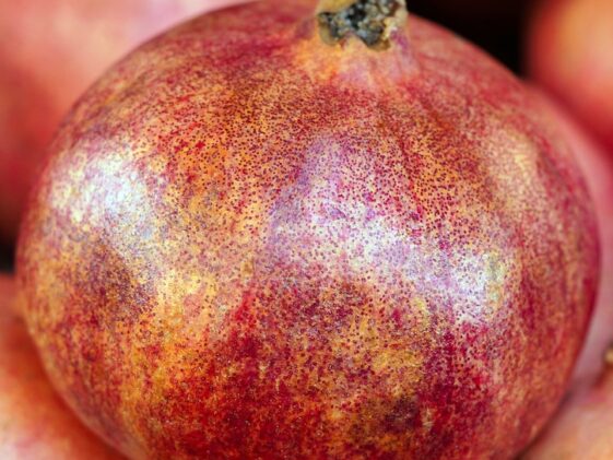 Nutrients Food for build muscle