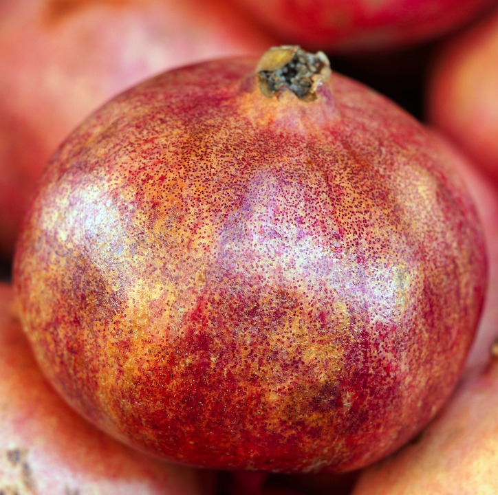 Nutrients Food for build muscle