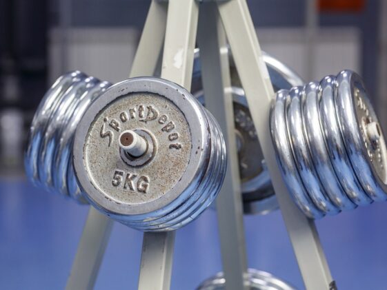 fitness gym strength training