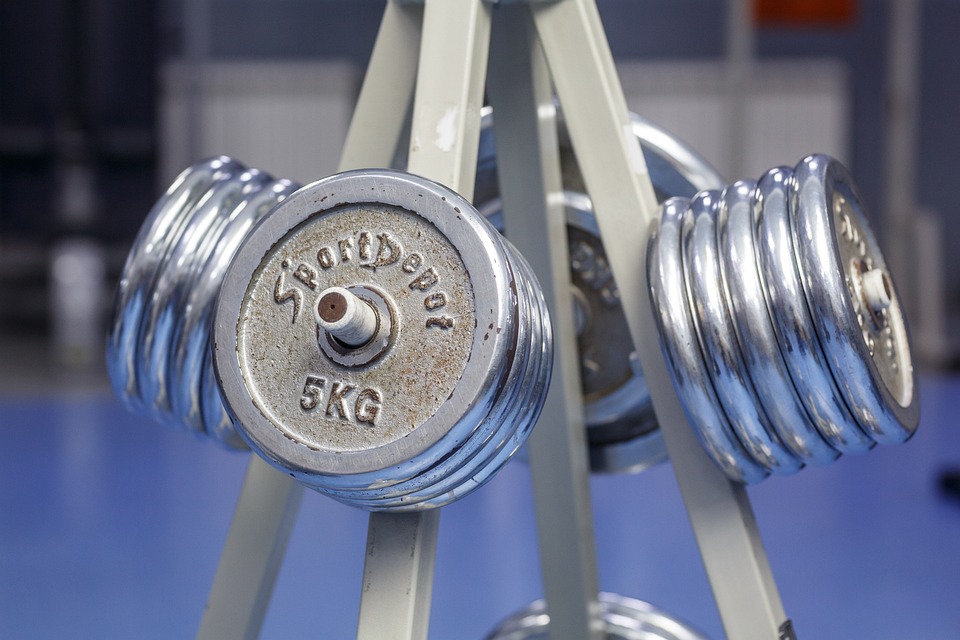 fitness gym strength training