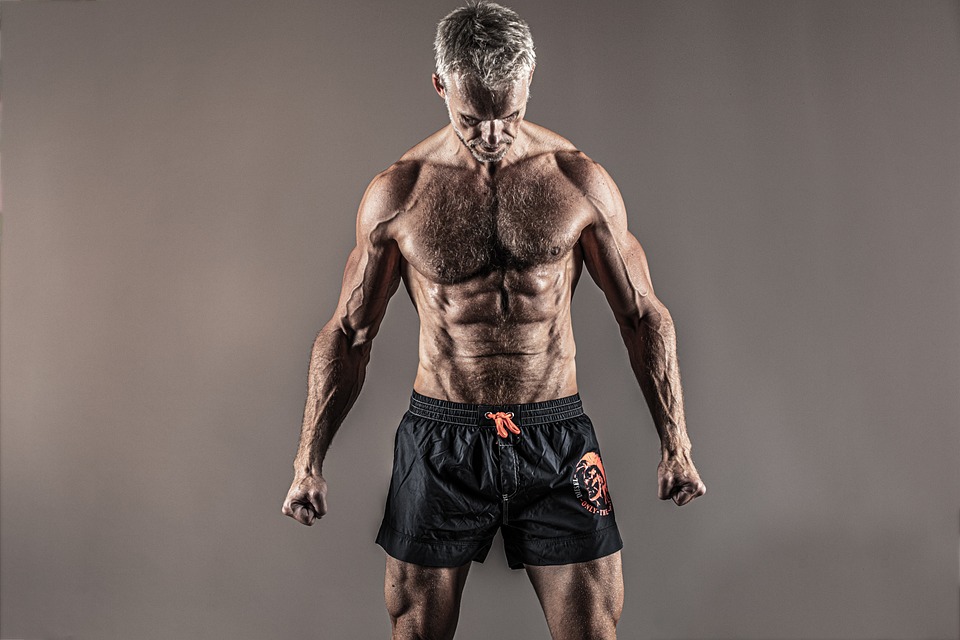 fitness gym strength training