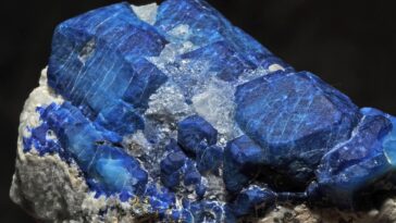 Minerals to build muscle