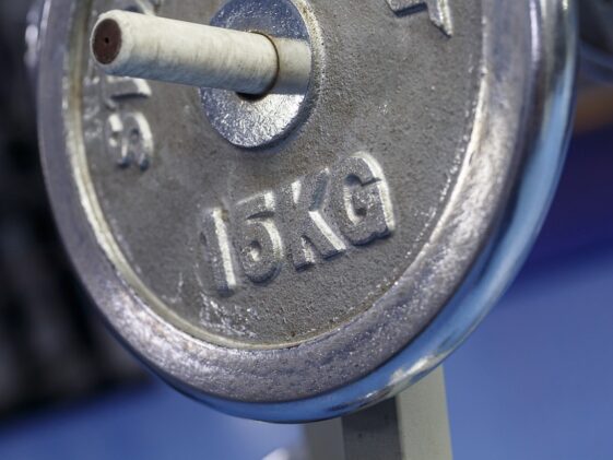 fitness gym strength training