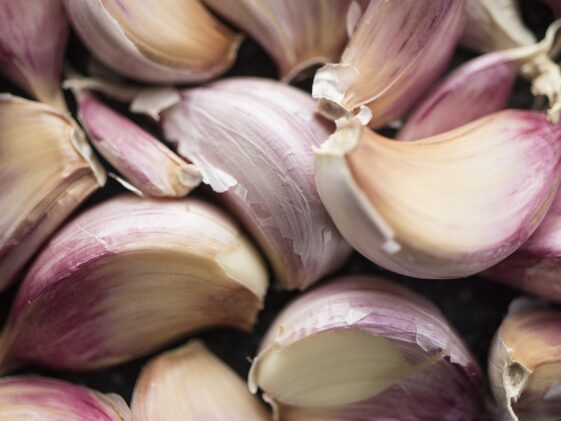 What is the largest amount of nutrients to build muscle from human body