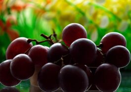 Nutrients Food for build muscle