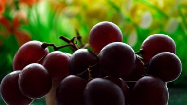 Nutrients Food for build muscle