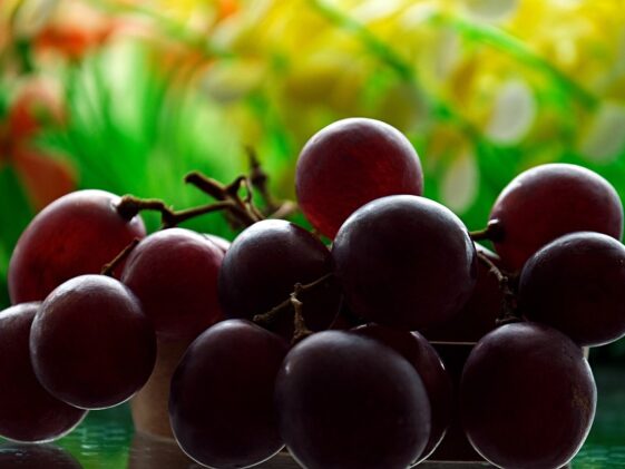 Nutrients Food for build muscle